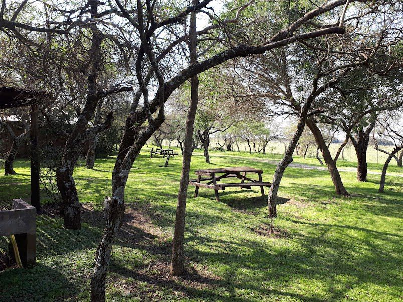 Bungalows Los Aromos